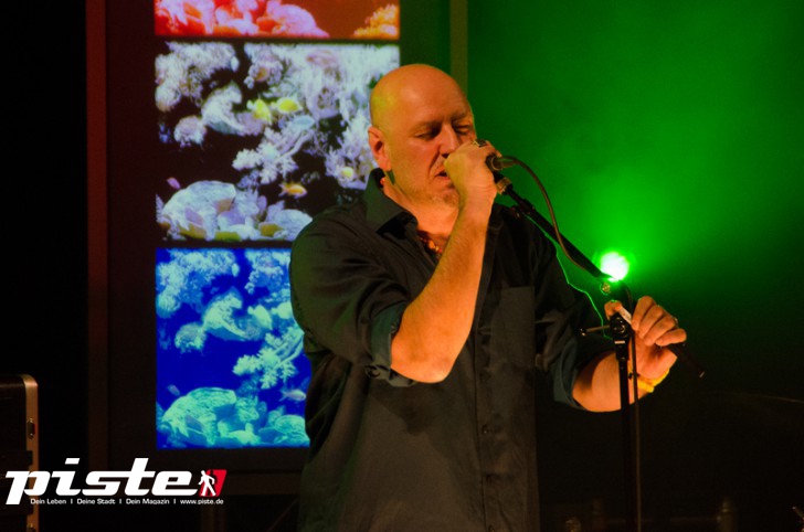 Wingenfelder - Selbstauslöser Tour 2013