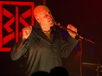 Wingenfelder - Selbstauslöser Tour 2013