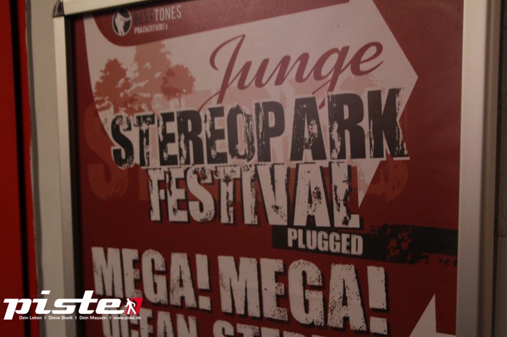 Junge Stereopark