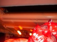 Hamburg tanzt! Xtreme Halloweenparty auf dem Ghostship Cap San Diego 