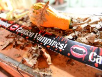 Hamburg tanzt! Xtreme Halloweenparty auf dem Ghostship Cap San Diego 