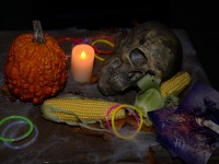 Hamburg tanzt! Xtreme Halloweenparty auf dem Ghostship Cap San Diego 