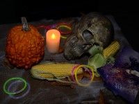 Hamburg tanzt! Xtreme Halloweenparty auf dem Ghostship Cap San Diego 