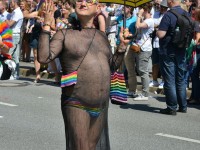 CSD Parade 2015