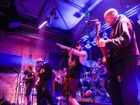 Junge Stereopark Festival 