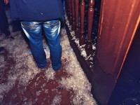 Heute habt ihr bei uns richtig Spaß