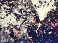 Heute habt ihr bei uns richtig Spaß