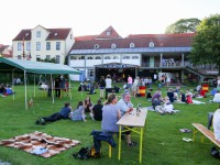 Live am Teich / Festival