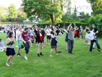 Live am Teich / Festival