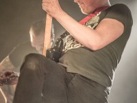 Tequila & The Sunrise Band