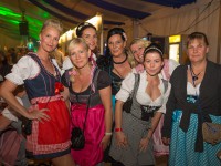 7. Linstower Wiesn