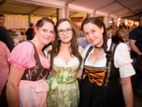 7. Linstower Wiesn