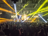 Krawall Music Festival