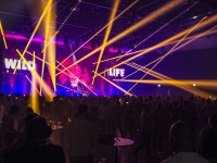 Krawall Music Festival