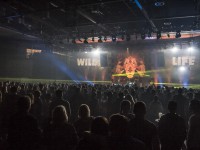 Krawall Music Festival