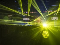 Krawall Music Festival