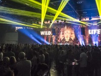 Krawall Music Festival