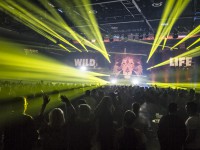 Krawall Music Festival