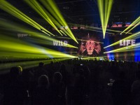 Krawall Music Festival