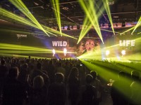 Krawall Music Festival