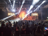 Krawall Music Festival