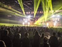 Krawall Music Festival