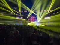 Krawall Music Festival