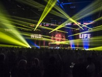 Krawall Music Festival