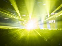 Krawall Music Festival