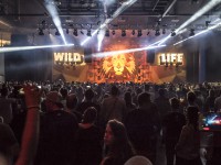 Krawall Music Festival