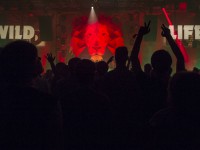 Krawall Music Festival