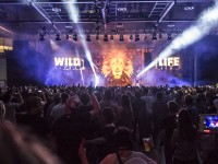 Krawall Music Festival