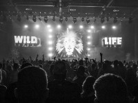 Krawall Music Festival