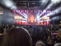 Krawall Music Festival