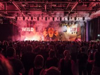 Krawall Music Festival