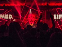 Krawall Music Festival