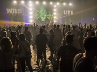 Krawall Music Festival