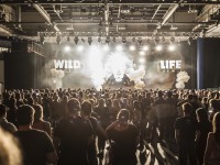 Krawall Music Festival