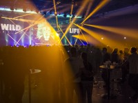 Krawall Music Festival