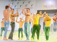 Mister Germany Wahl 2017
