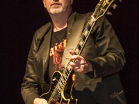 Creedence Clearwater Revived