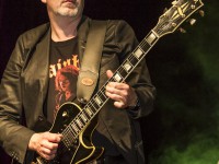 Creedence Clearwater Revived