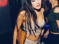 Royal Wednesday | H1 Club