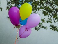 Sommerfest & Jubiläumsfeier