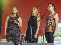 Transit Festival