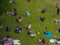 Transit Festival