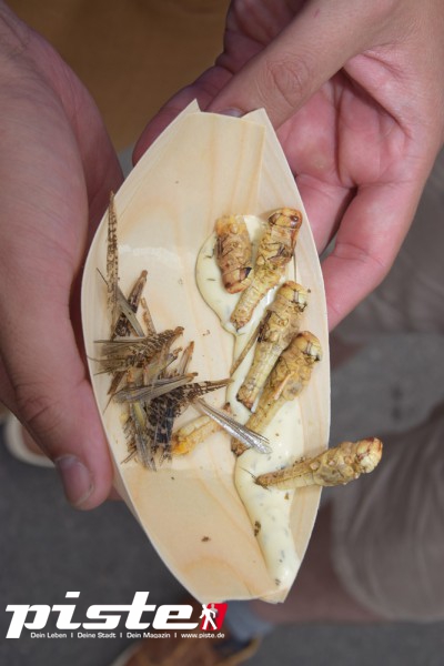 Street Food Festival