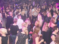 15. Mister Germany Wahl