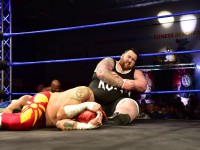 Power of Wrestling