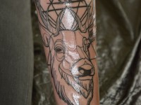 Tattoo Expo